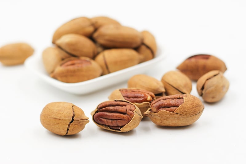 Alternative Proteins